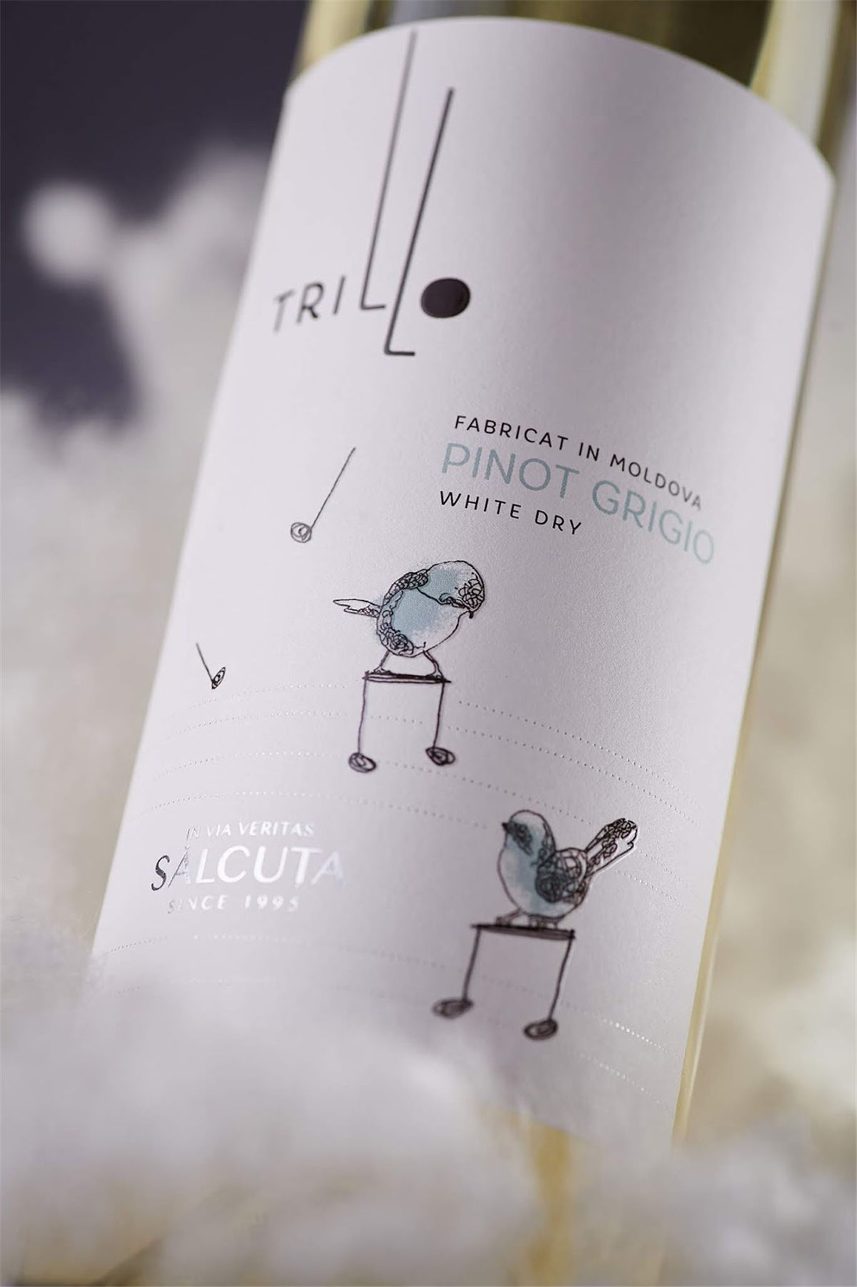 年輕葡萄酒包裝設(shè)計(jì)(圖2)