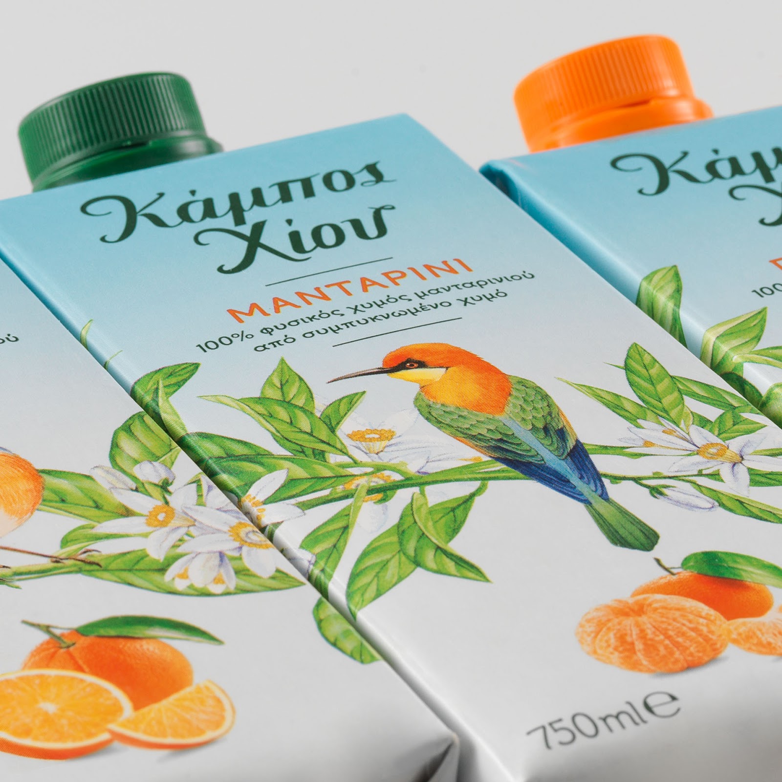 貴陽果汁飲料包裝設(shè)計(jì)公司(圖6)