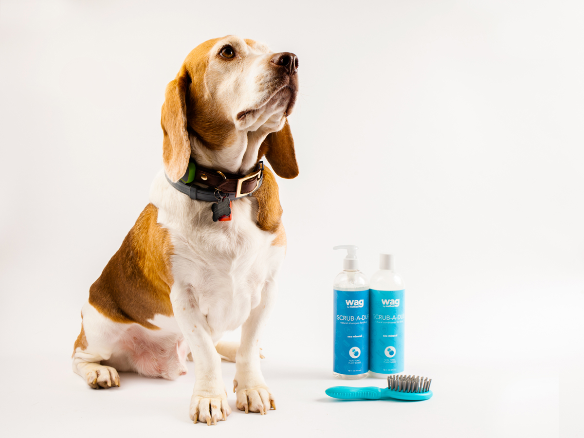 寵物包裝設(shè)計(jì)欣賞用品品牌包裝設(shè)計(jì)案例(圖6)