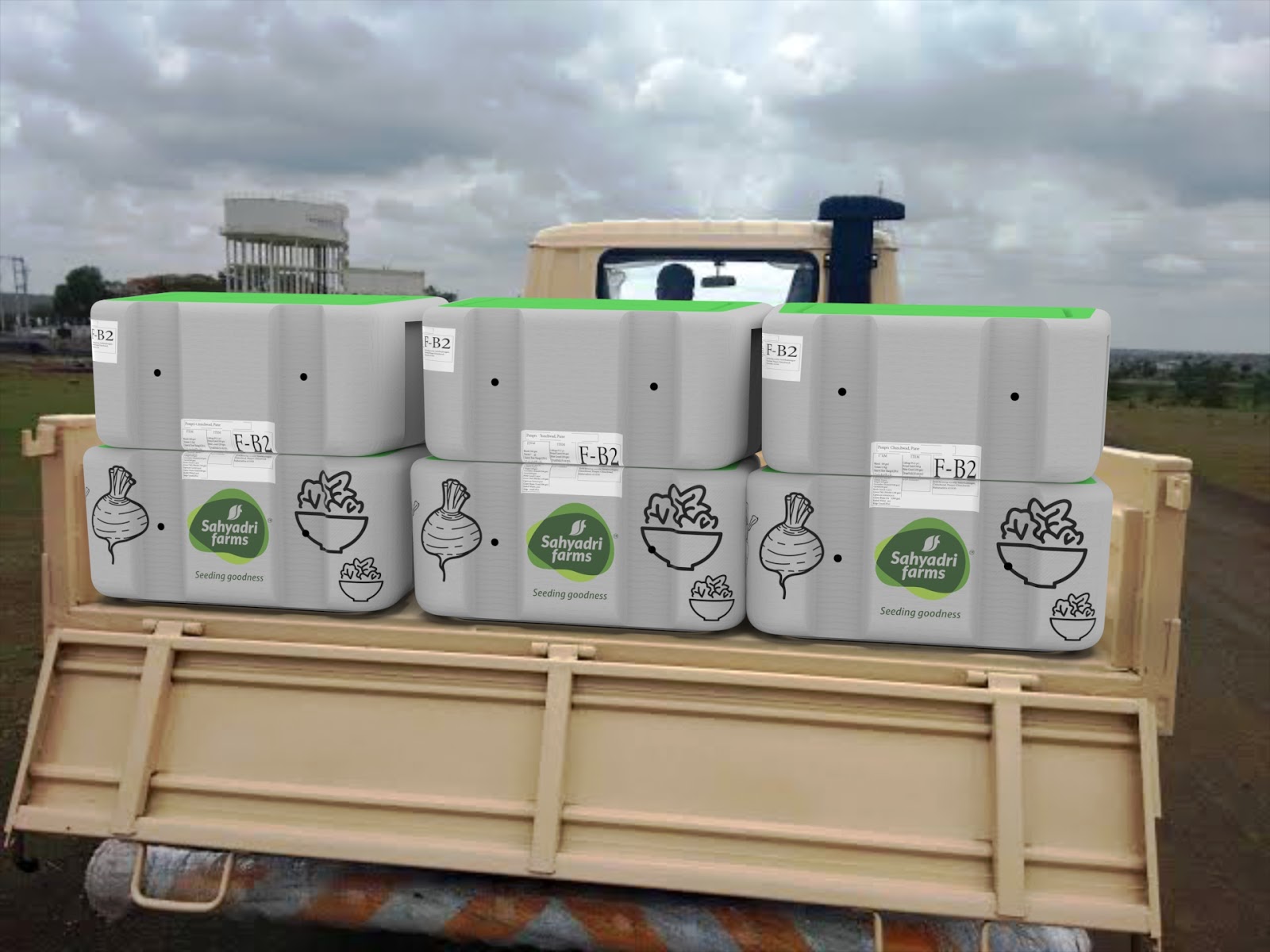 有機蔬菜外箱設(shè)計(圖6)