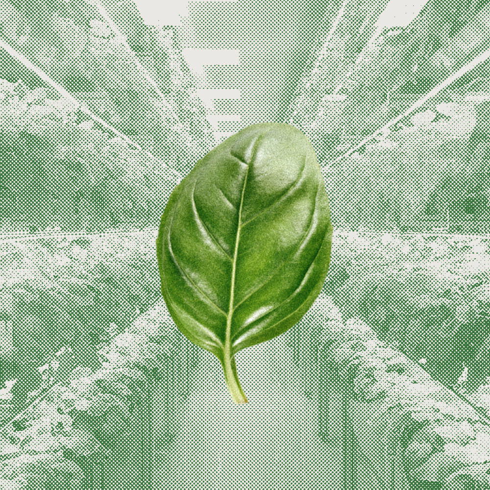 BAZ & CO 護(hù)膚品采用無限可回收材料的包裝設(shè)計(jì)(圖2)