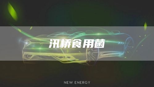 汛橋食用菌(圖1) 汛橋食用菌(圖1)