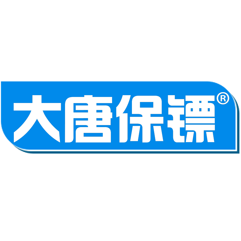 大唐保鏢品牌logo設(shè)計欣賞與分析(圖1)