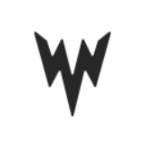 威澤品牌logo設(shè)計(jì)欣賞與分析(圖1)