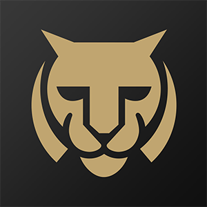 必虎路由品牌logo設計欣賞與分析(圖1)