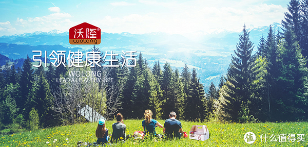 沃隆品牌故事-logo設(shè)計(jì)欣賞(圖1)