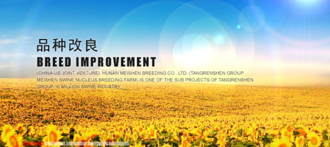 TRS唐人神品牌logo與產品包裝設計欣賞(圖3)