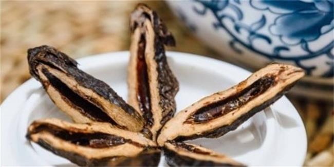 友文品牌logo與食品包裝設(shè)計欣賞(圖4)