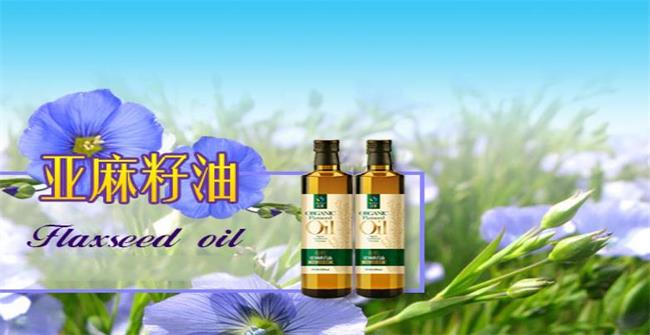 圣基 圣基品牌logo與食品包裝設(shè)計(jì)欣賞(圖2)