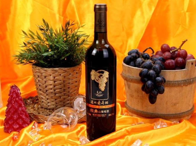 通化TONHWA品牌logo與食品包裝設(shè)計(jì)欣賞(圖3)