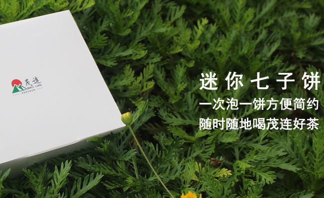 MAO LIAN茂連食品包裝設(shè)計(jì)欣賞(圖3)