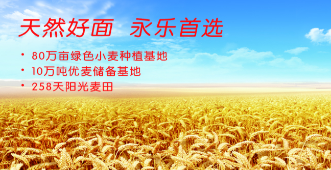 永樂食品包裝設(shè)計(jì)欣賞(圖3)