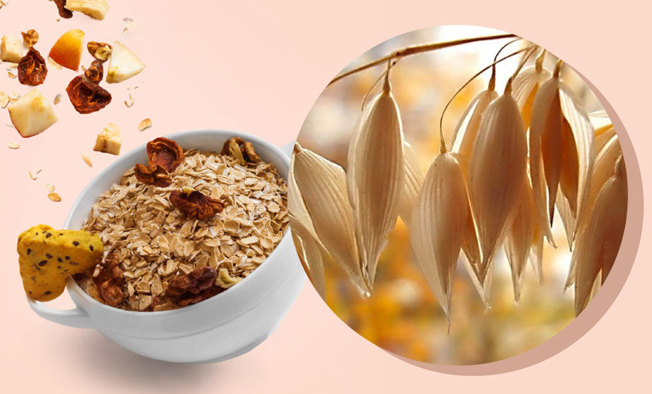 悠采食品包裝設(shè)計欣賞(圖3)