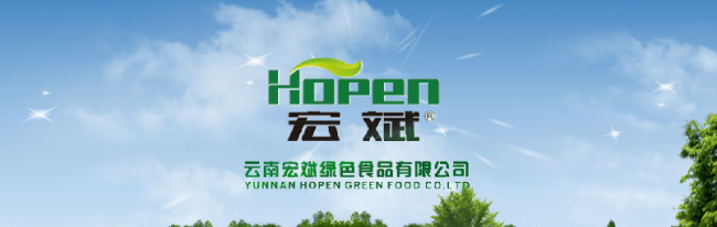 Hopen宏斌食品包裝設(shè)計(jì)欣賞(圖2)