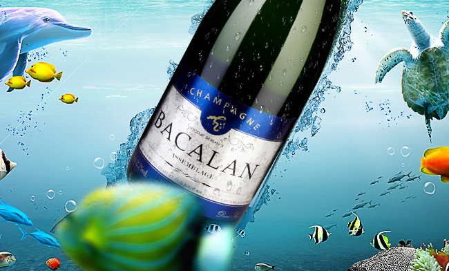 巴克龍食品包裝設(shè)計(jì)欣賞(圖2)