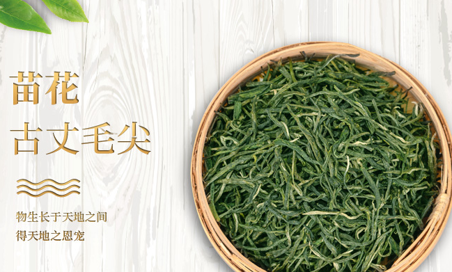 古丈毛尖 古丈毛尖食品包裝設(shè)計(jì)欣賞(圖2)